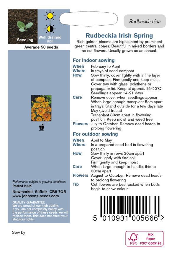 Karvane päevakübar 'Irish Spring'