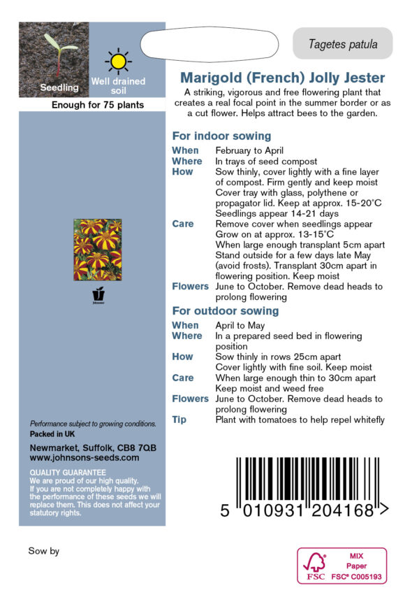 Peiulill 'Jolly Jest'