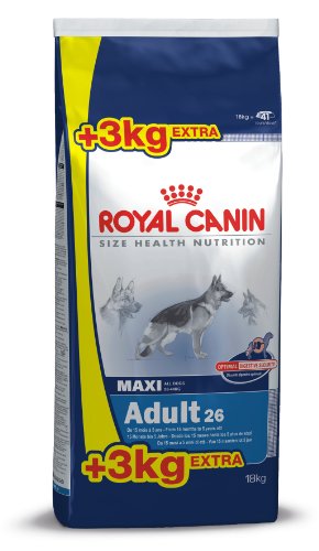 Royal Canin Kuivtoit Maxi Adult 15+3kg