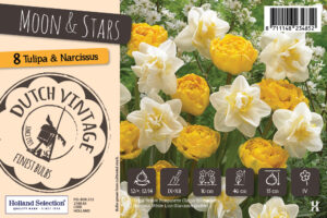 Dutch Vintage Moon & Stars 8tk