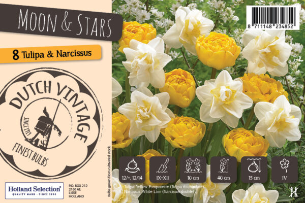 Dutch Vintage Moon & Stars 8tk