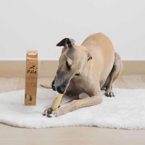 Pala juustu närimismaiused koerale L 140g