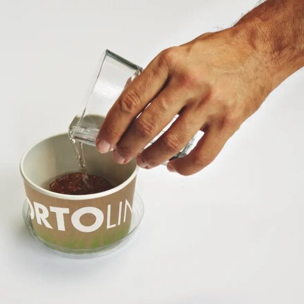 Tšillipipra kasvatamise komplekt