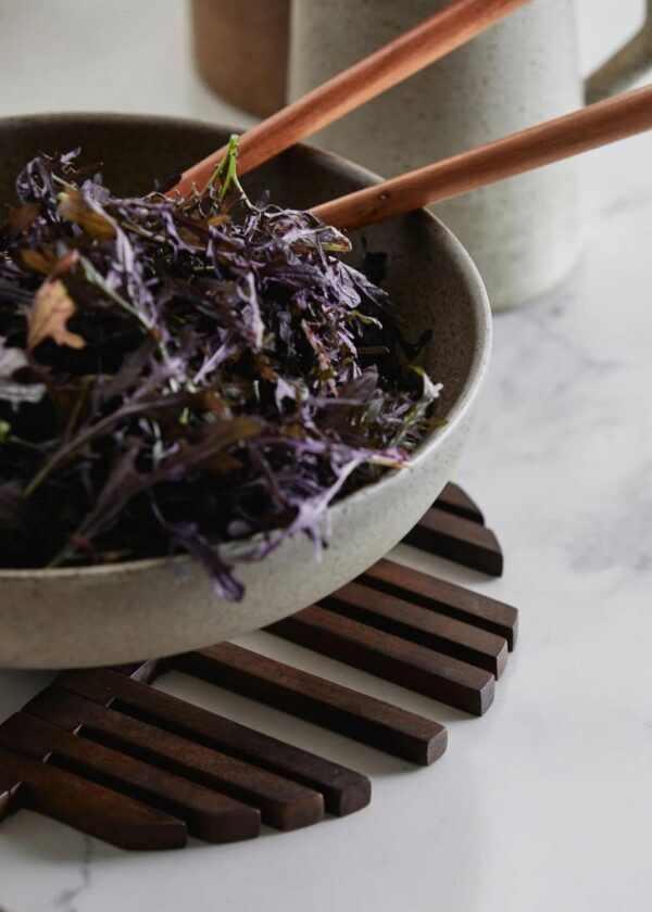 Kuumaalus Cayenne pruun 11x21,5cm