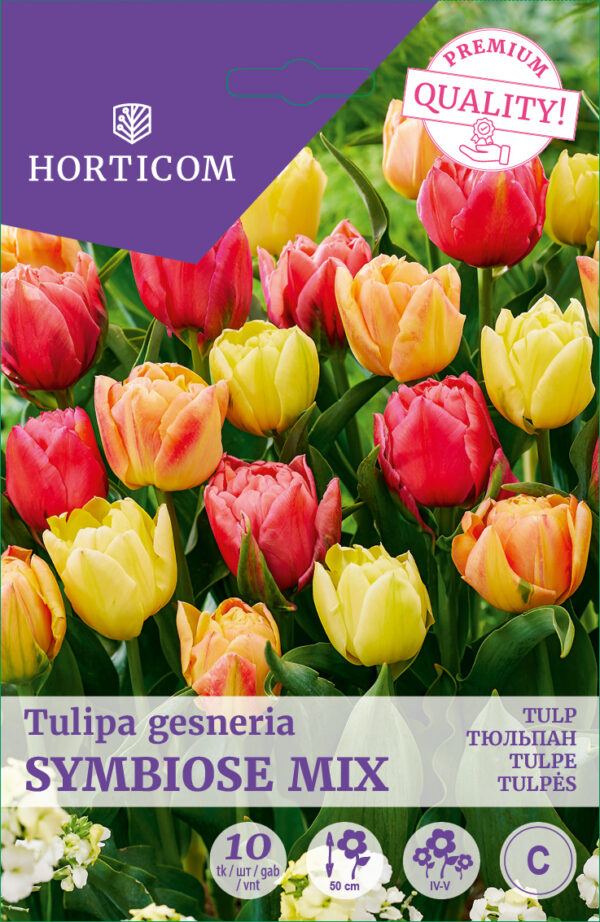 Tulp segu Symbiose 10tk