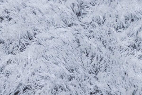 Koera padi Siba ortopeediline hall 120x80x h10cm