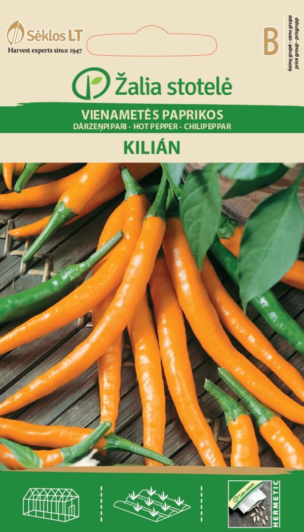 Kibe paprika 'Kilian'
