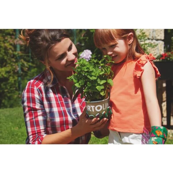 Tšillipipra kasvatamise komplekt