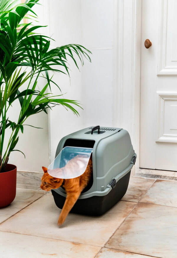 Liivakast Romeo Eco tumehall 65x44x h46cm