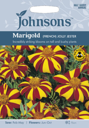 Peiulill ‘Jolly Jest’