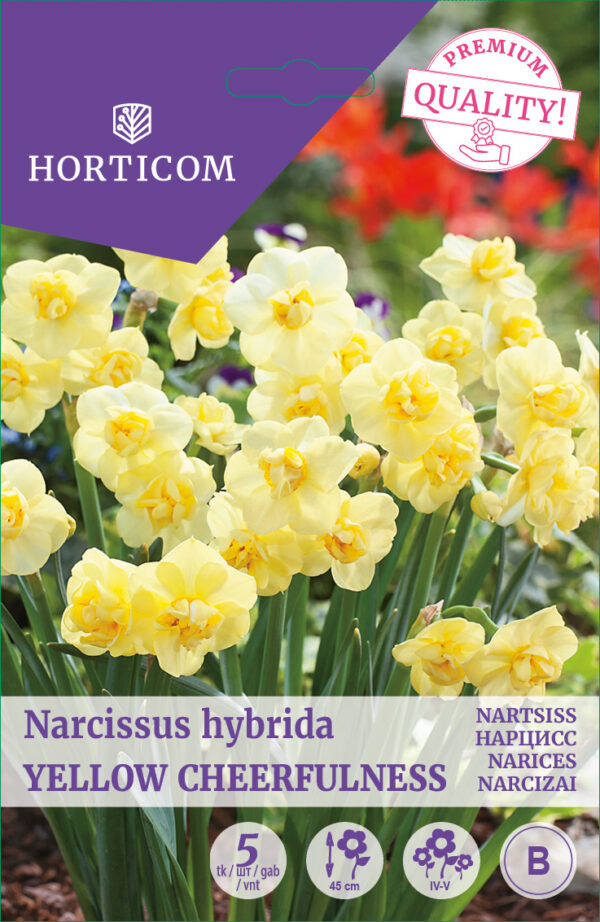 Nartsiss 'Yellow Cheerfullness' 5tk