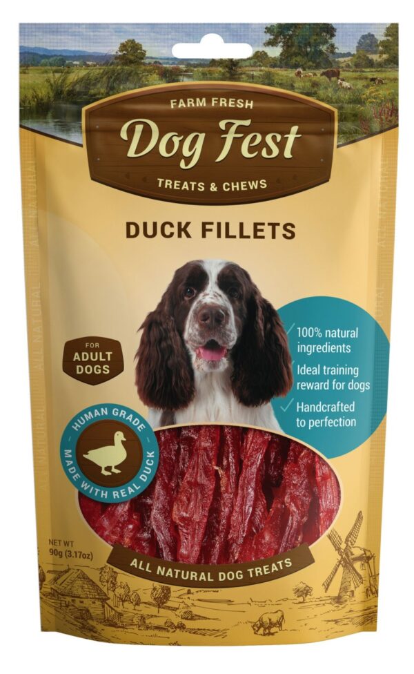 Maiustus Dog Fest pardifilee 90g