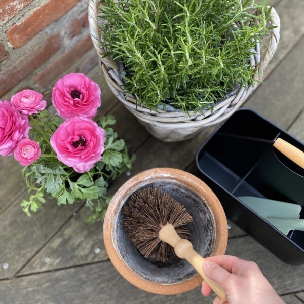 Hari Bruce pruun Ø12x h29cm