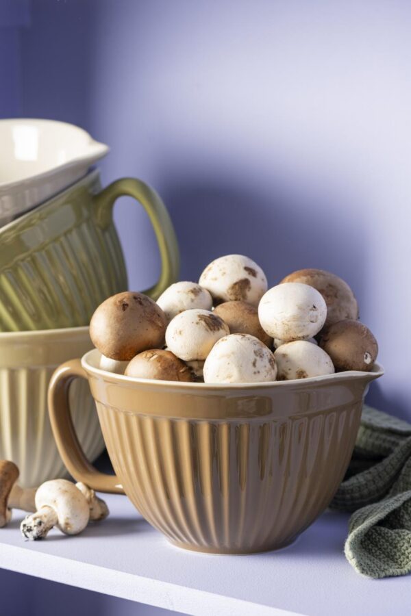 Kauss suur Mynte Hazelnut 18x12x24cm