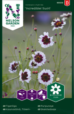 Värv-neiusilm ‘Incredible! Swirl’