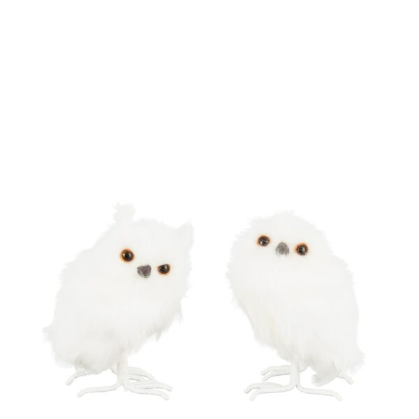 Öökull 11x9x h17cm erinevad 1tk