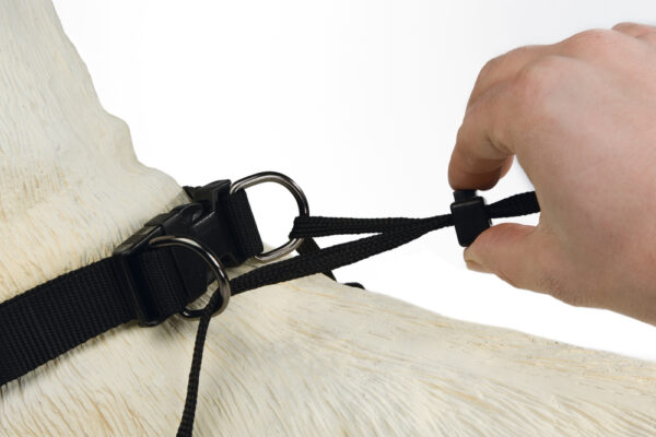 JALUTUSRIHM,MUST,KESKMINE