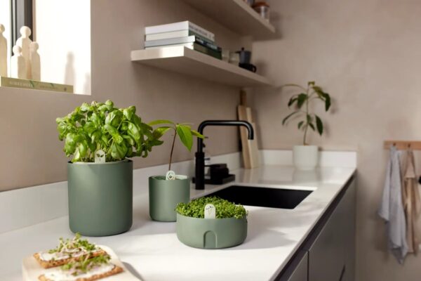 Maitsetaimepott Bouncy Basil Ø16,5cm roheline