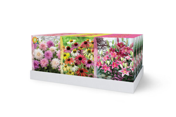 Siilkübar segupakend 10tk