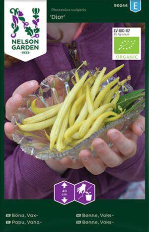 Aeduba ‘Dior’ mahe