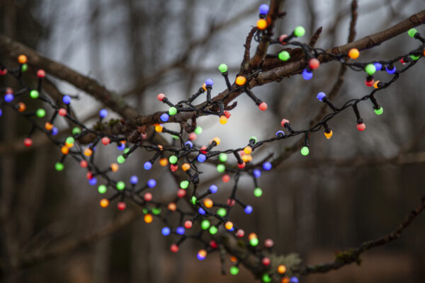 Valguskett Berry mini värviline 14m 700LED IP44