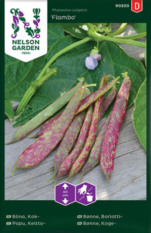 Aeduba ‘Flambo’ suur pakk