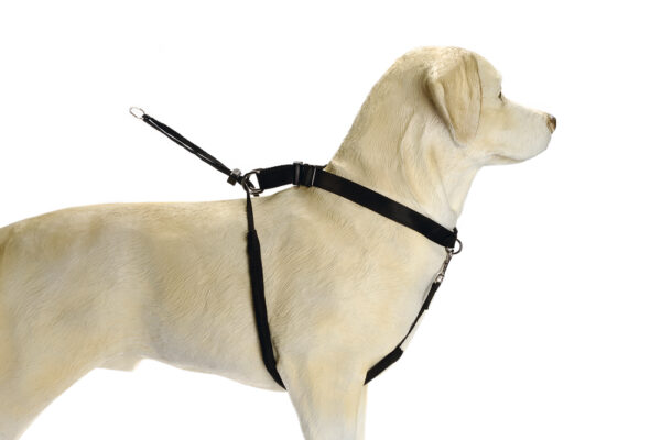 JALUTUSRIHM,MUST,KESKMINE