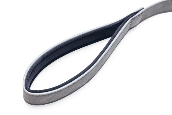 Jalutusrihm Beeztees AX 100x2,5cm hall