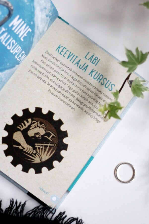 Raamat 100 asja, mida iga mees vähemalt korra elus tegema peaks