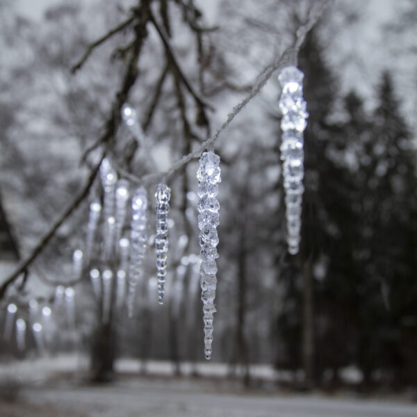 Jääpurikakett Gelido  külm valge 6m 40LED IP44