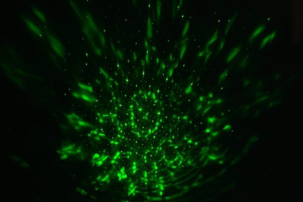 Valgusprojektor Galaktika 15x13,5x h13,5cm