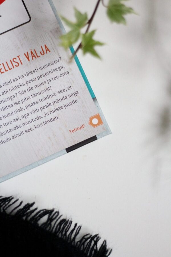 Raamat 100 asja, mida iga mees vähemalt korra elus tegema peaks