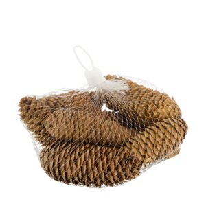 Dekoratsioon männikäbid 150g