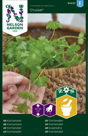 Aedkoriander ‘Cruiser’