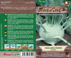 Valge nuikapsas ‘Gigant’