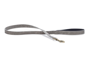 Jalutusrihm Beeztees AX 100×2,5cm hall