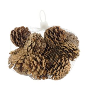 Dekoratsioon männikäbid 200g