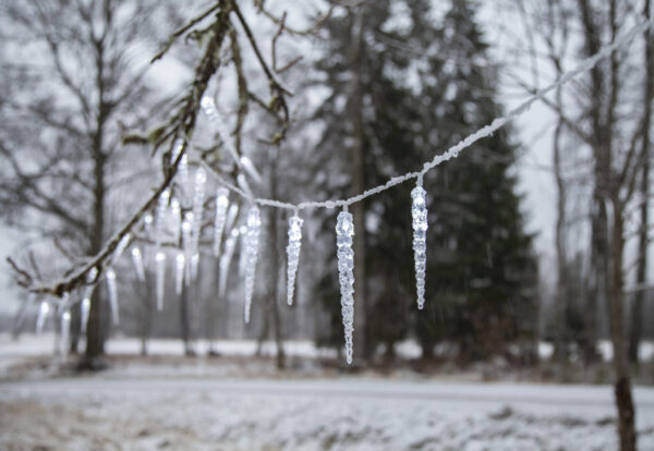 Jääpurikakett Gelido  külm valge 6m 40LED IP44