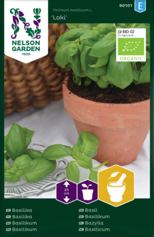 Vürtsbasiilik ‘Loki’ (mahe)