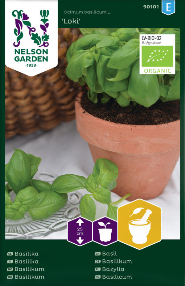 Vürtsbasiilik 'Loki' (mahe)