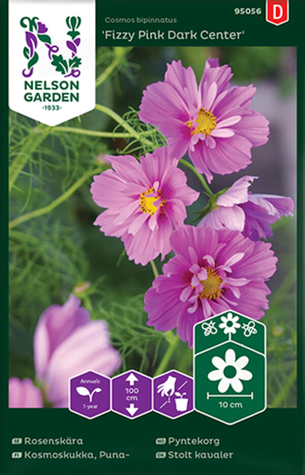 Kosmoselill 'Fizzy Pink Dark Center'