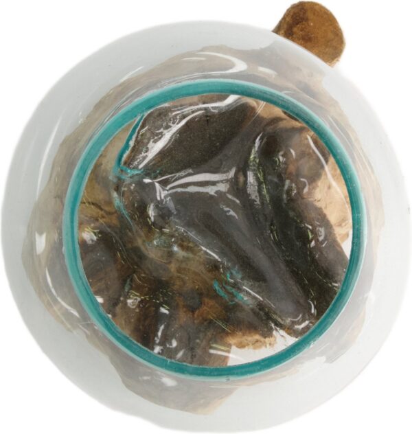 Juur klaasist kausiga 20x20x h20cm