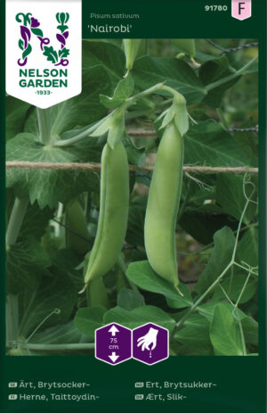 Hernes ‘Nairobi’