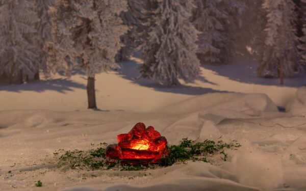 Lõke 12LED patareidega IP44