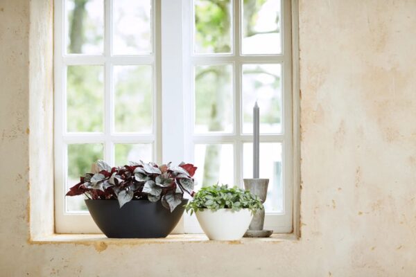 Lillepott Brussels ovaal 36x 16x h13cm antratsiit