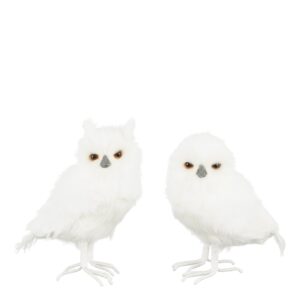 Öökull 17x11x h24cm erinevad 1tk