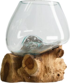 Juur klaasist kausiga 20x20x h20cm