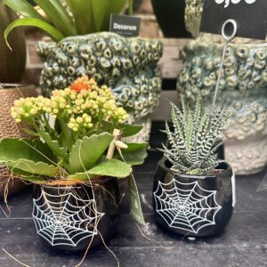 Havortia P5,5 ümbrispotis Halloween