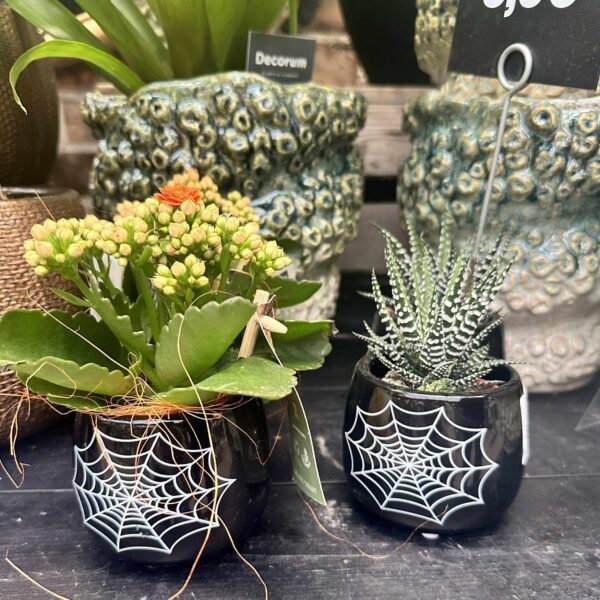 Havortia P5,5 ümbrispotis Halloween