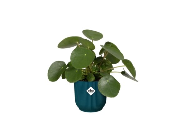 Lillepott Vibes Fold ratastel Ø35x h32cm sügavsinine